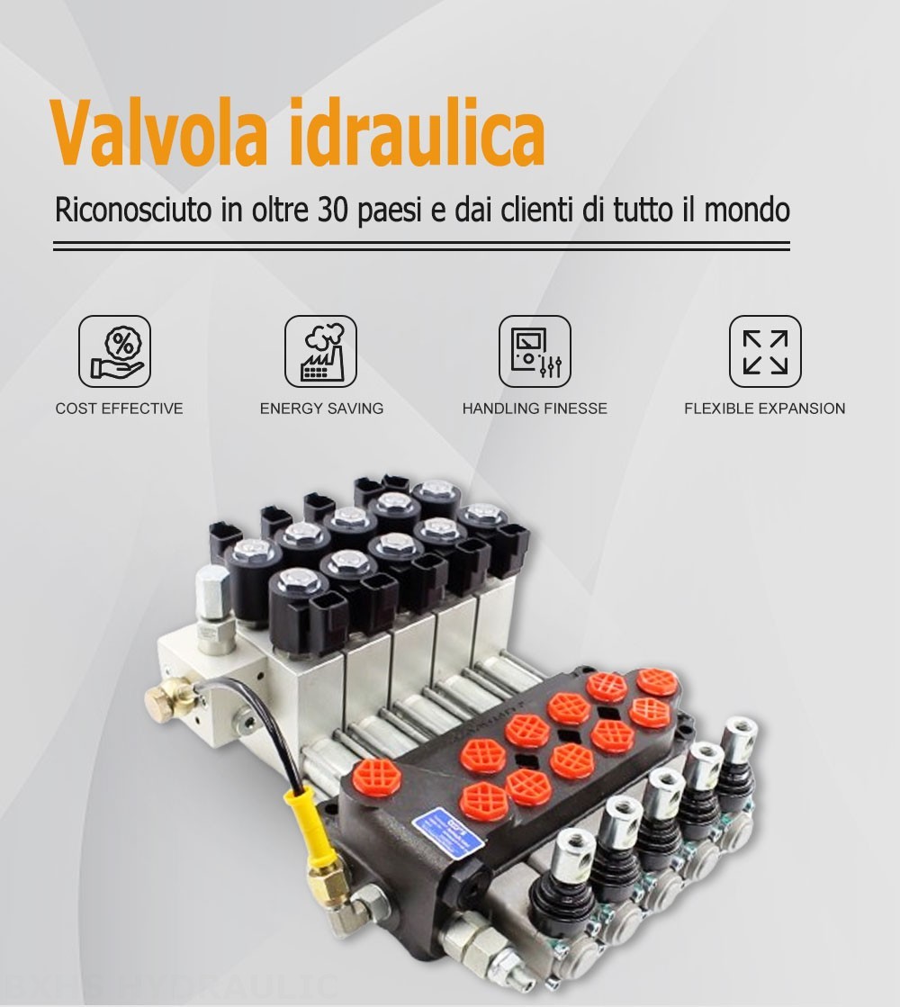 DCV40Z Manuale 5 Spool Valvola direzionale monoblocco