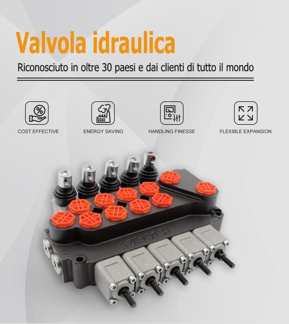 DCV40Z Manuale 5 Spool Valvola direzionale monoblocco