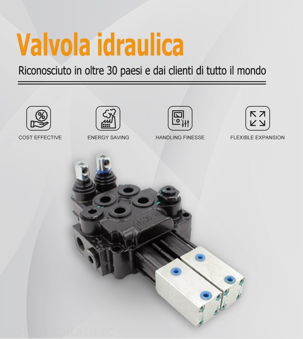 DCV40 Pneumatico 2 Spool Valvola direzionale monoblocco