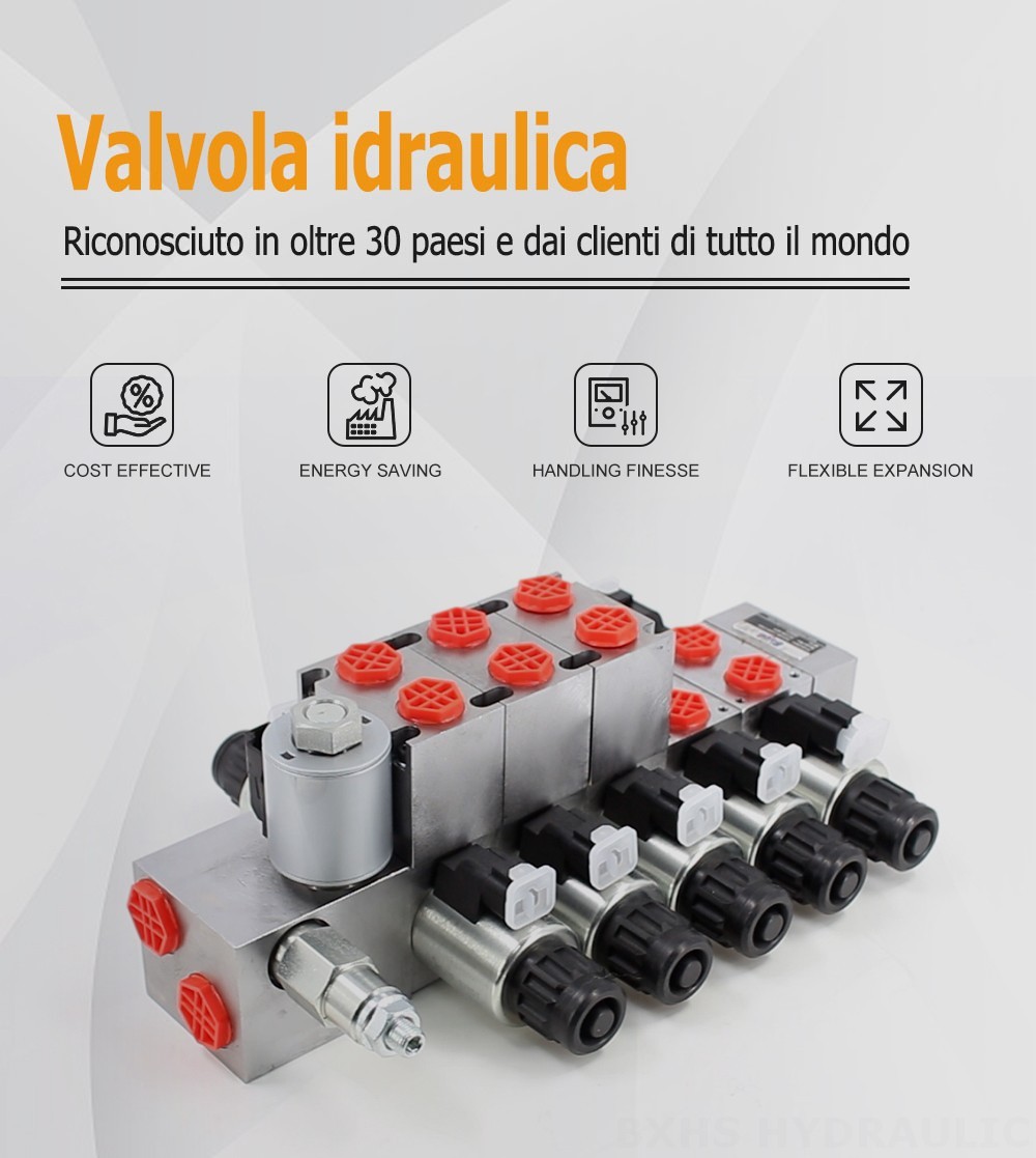 DCV56 Proporzionale elettrico 5 Spool Valvola direzionale sezionale