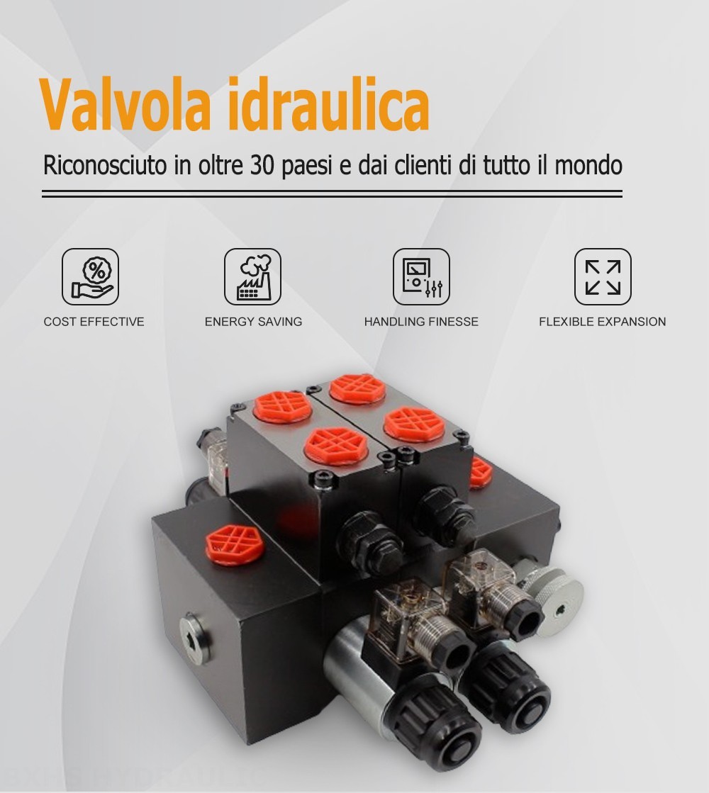 DCV58F Solenoide 2 Spool Valvola direzionale sezionale