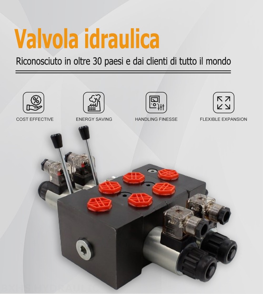 DCV58 Solenoide 2 Spool Valvola direzionale sezionale