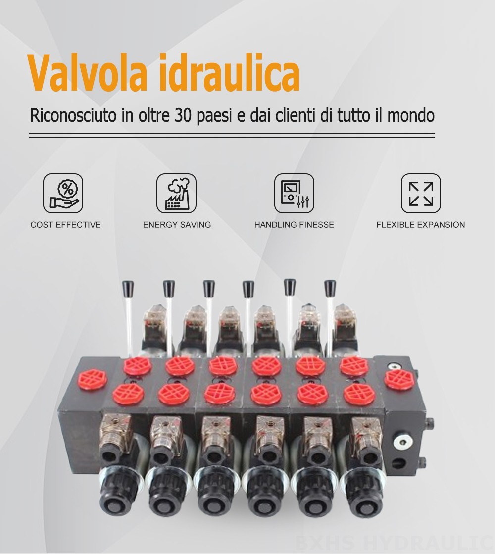 DCV58 Solenoide 6 Spool Valvola direzionale sezionale