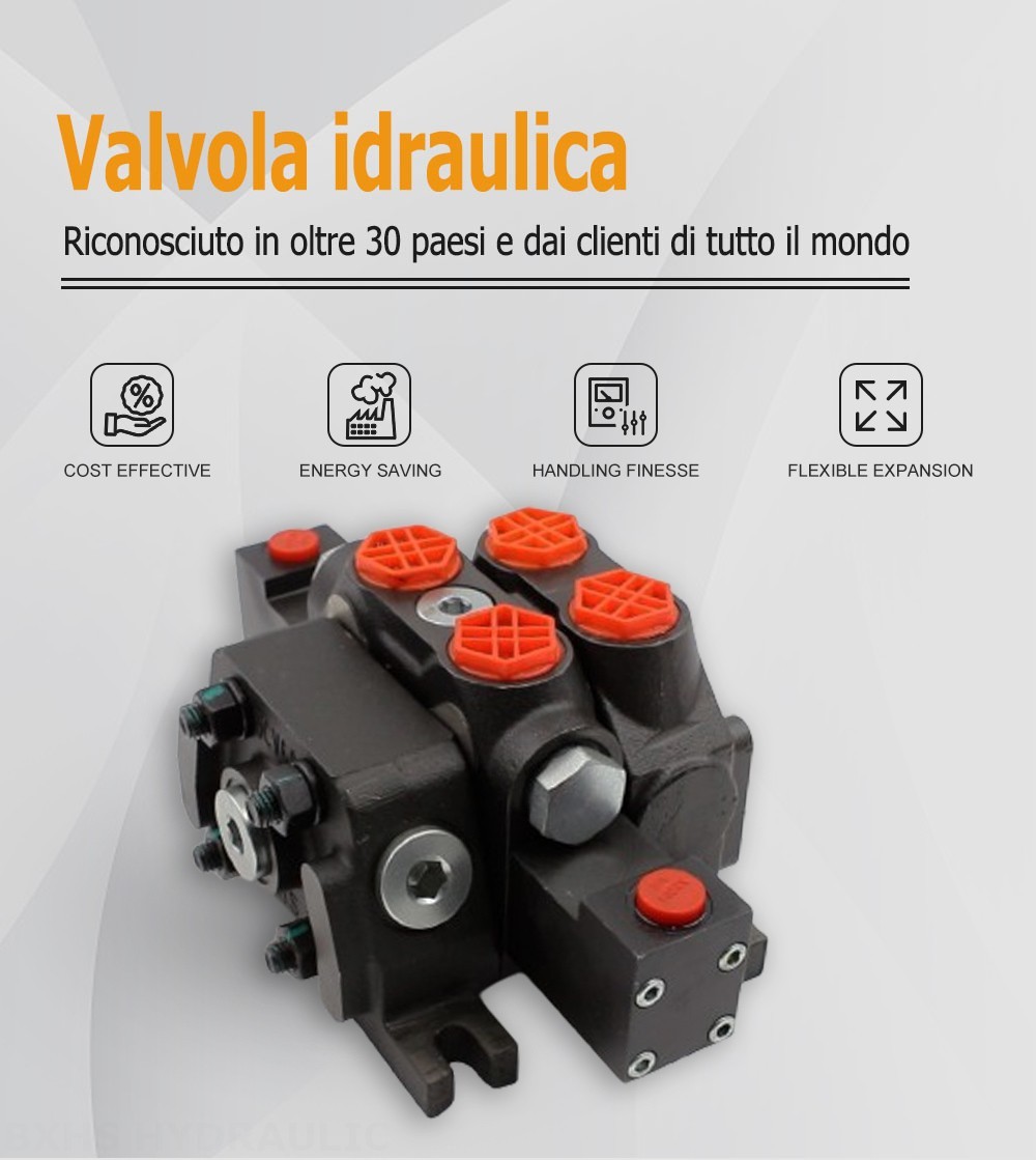 DCV60-G34 Idraulico 1 Spool Valvola direzionale sezionale