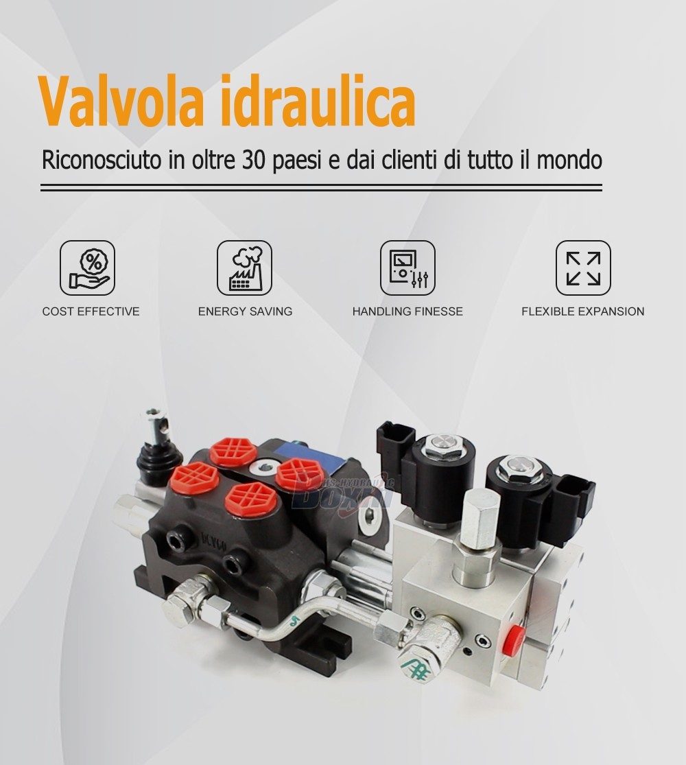 Professional OEM/ODM and Private Label Services for DCV60 Electro-hydraulic Valves