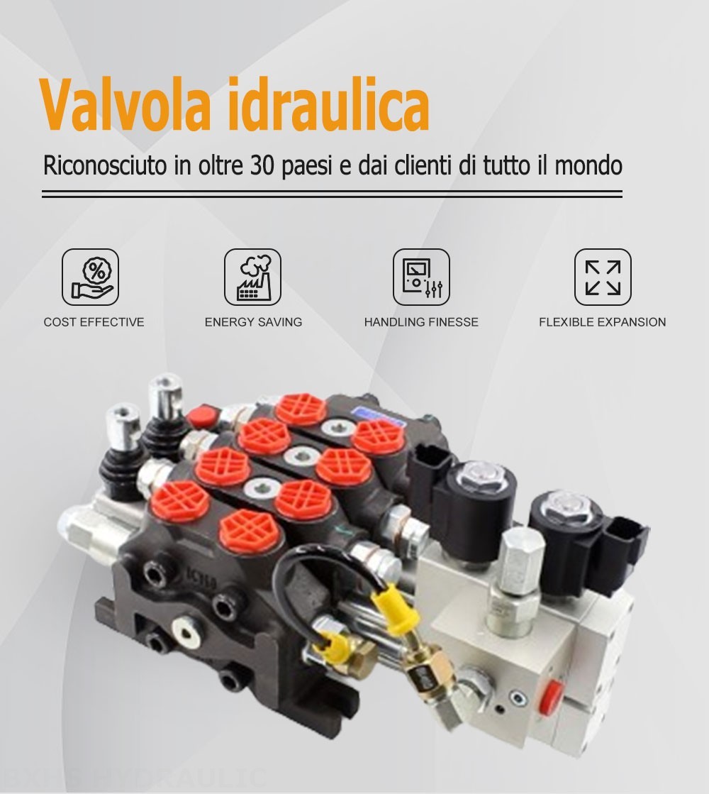 DCV60 Elettroidraulico 2 Spool Valvola direzionale sezionale