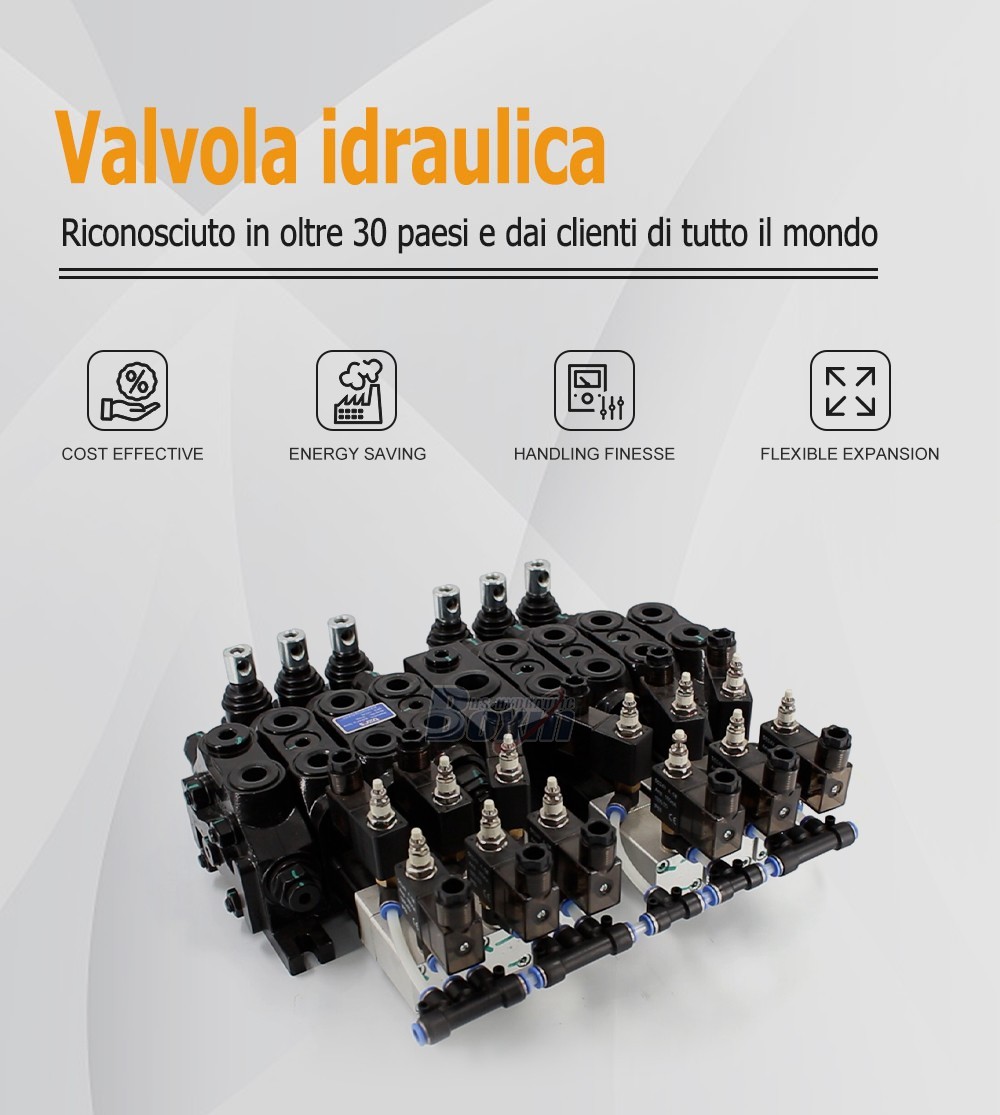 Seeking Global Distributors and Wholesalers for DCV60 6 Spool Valves