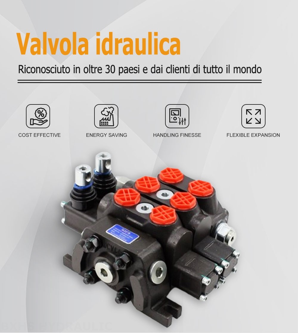 DCV60 Manuale 2 Spool Valvola direzionale sezionale