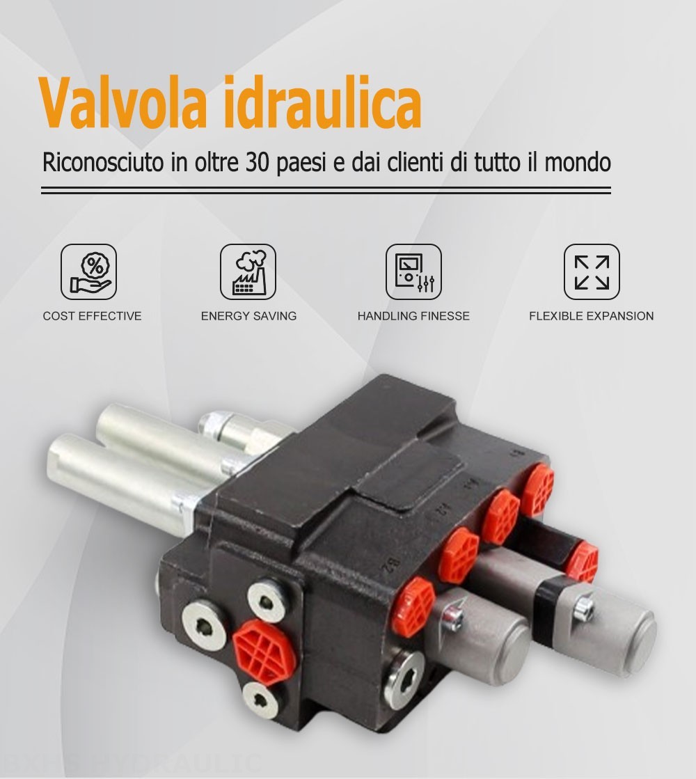 DM45 Cavo 2 Spool Valvola direzionale monoblocco