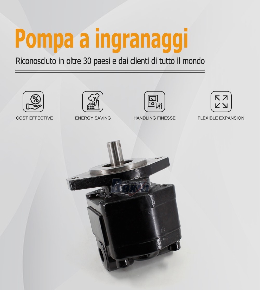 High Performance CBHS-FC25 Hydraulic External Gear Pump 25cc