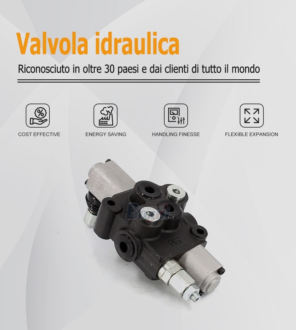 Seeking Global Distributors and Wholesalers for HS45-FZJ 1 Spool Monoblock Valve