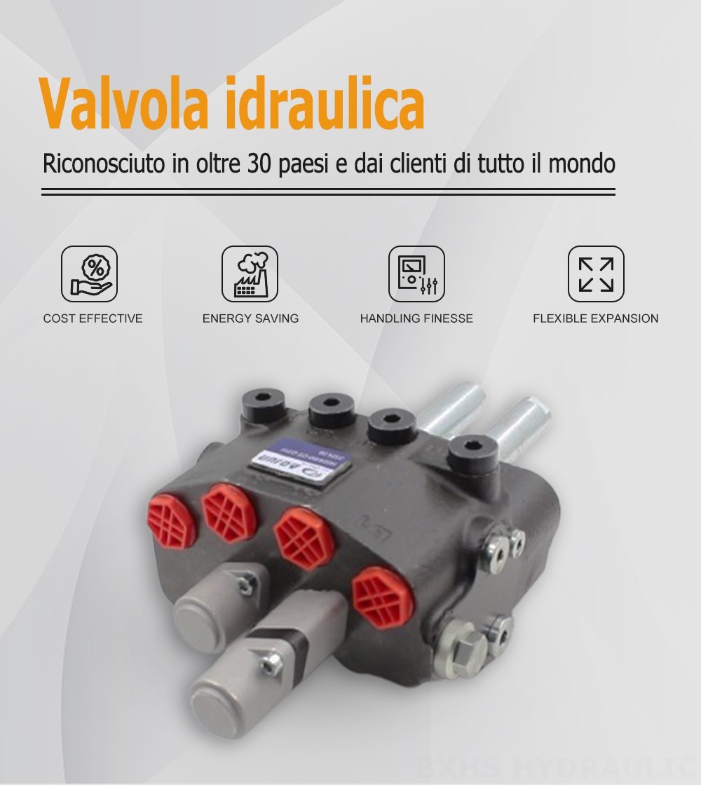 HSDM90B Cavo 2 Spool Valvola direzionale monoblocco