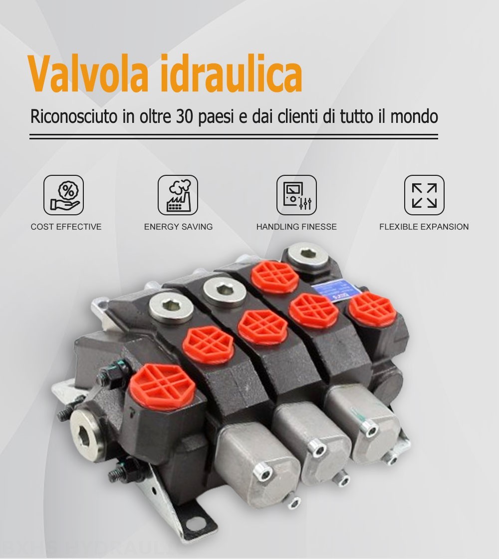 HSDS15 Manuale 3 Spool Valvola direzionale monoblocco