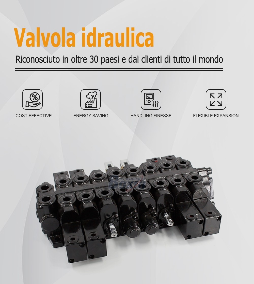 HSW50 Series 8 Spool Monoblock Control Valve for Hydraulic Systems