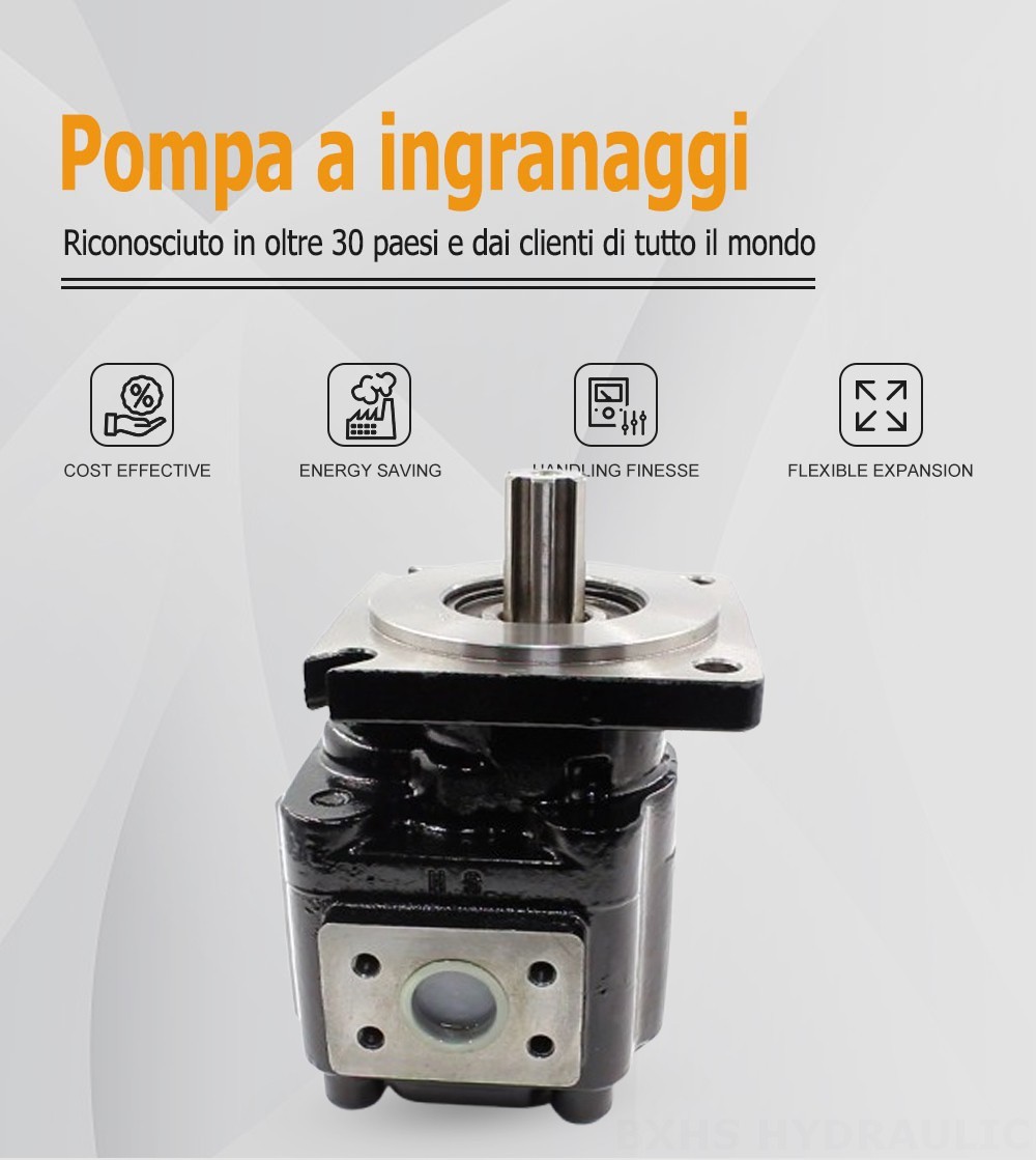 JHP2063 63 cc/rev Pompa a ingranaggi idraulica
