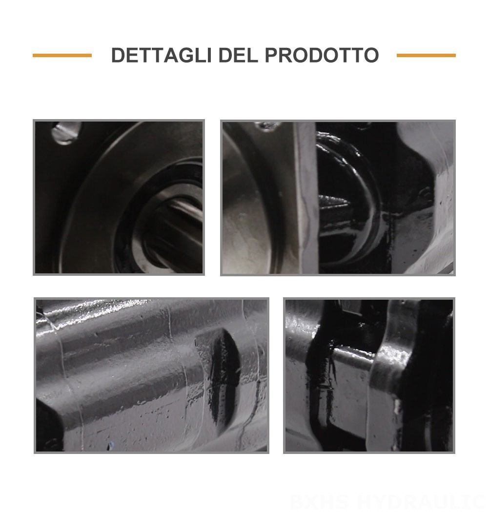 JHP2080-2080-1016 80 cc/rev Pompa a ingranaggi idraulica
