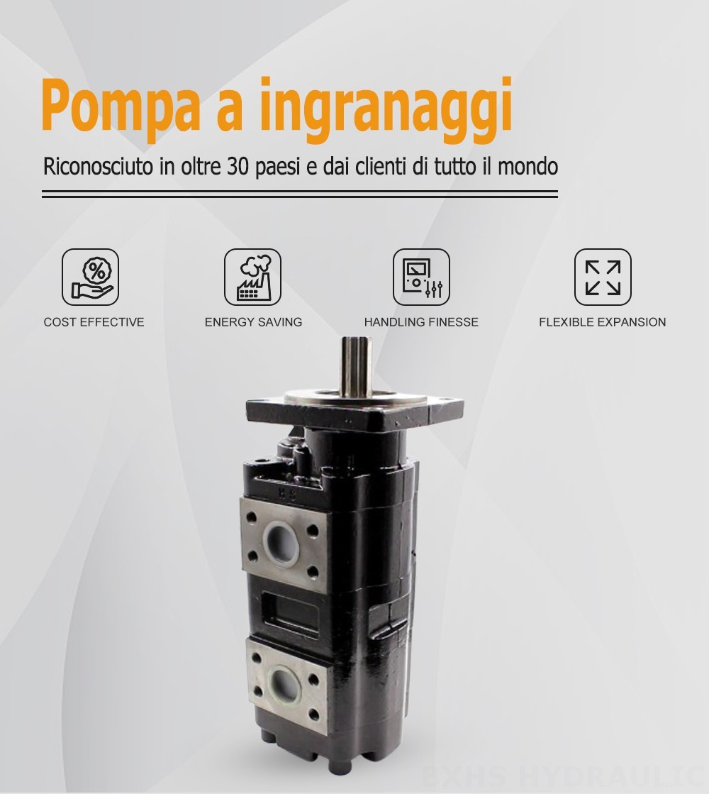 JHP2080-2080 80 cc/rev Pompa a ingranaggi idraulica