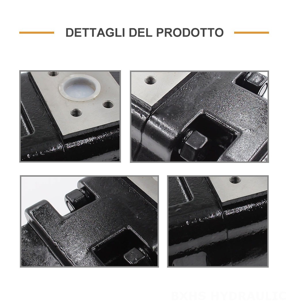 JHP2100-2080-1016 100 cc/rev Pompa a ingranaggi idraulica