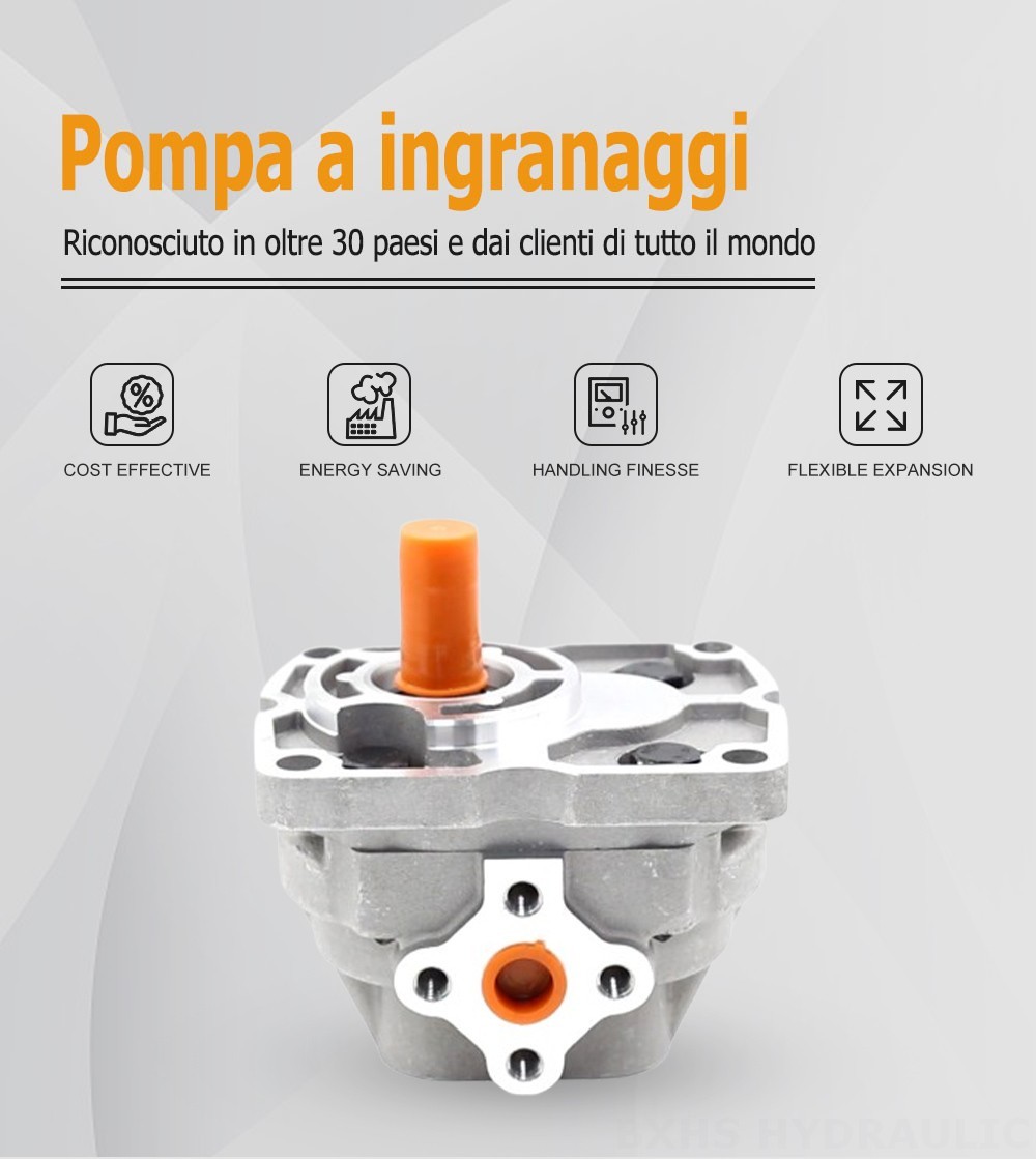 NSH10-M 10 cc/rev Pompa a ingranaggi idraulica