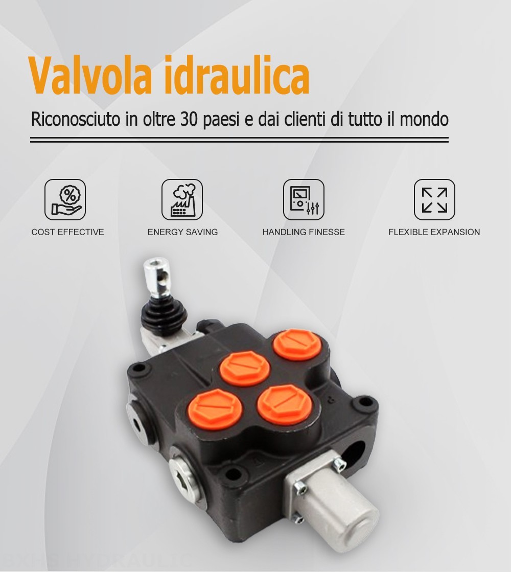 P120-G1-OT Manuale 1 Spool Valvola direzionale monoblocco