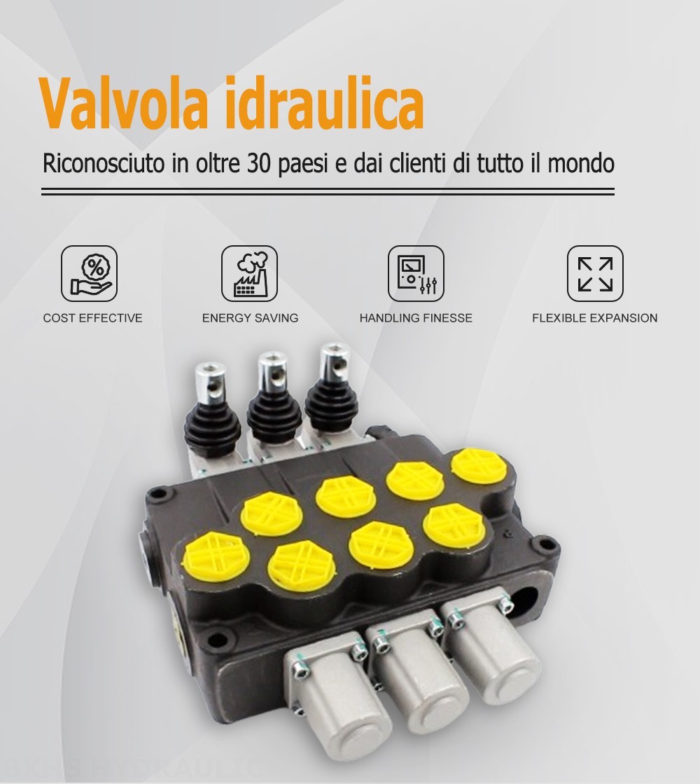 P120-G1-OT Manuale 3 Spool Valvola direzionale monoblocco