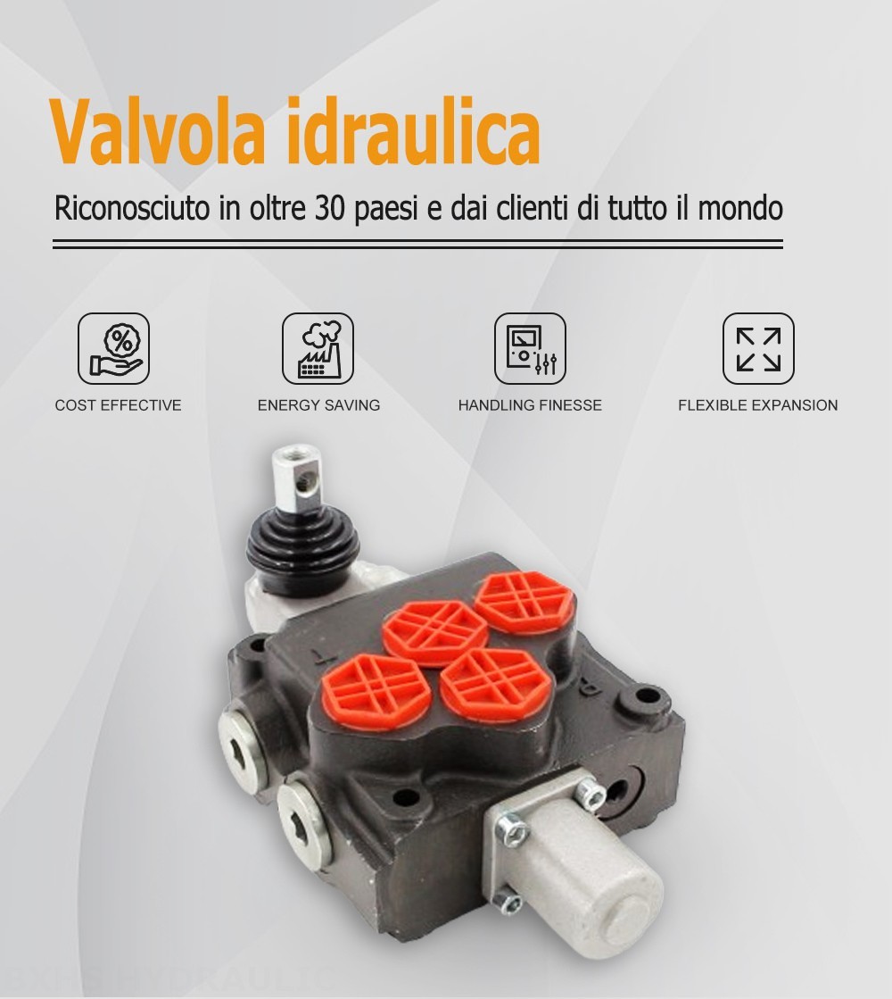 P120-G1 Manuale 1 Spool Valvola direzionale monoblocco