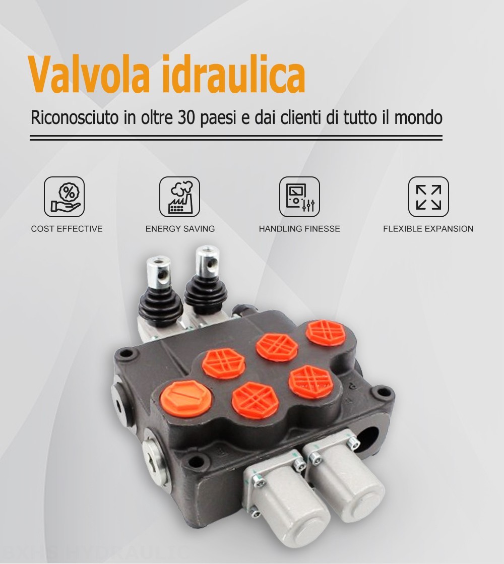 P120-G34-G1-OT Manuale 2 Spool Valvola direzionale monoblocco