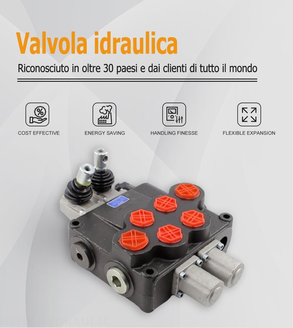 P120 Manuale 2 Spool Valvola direzionale monoblocco