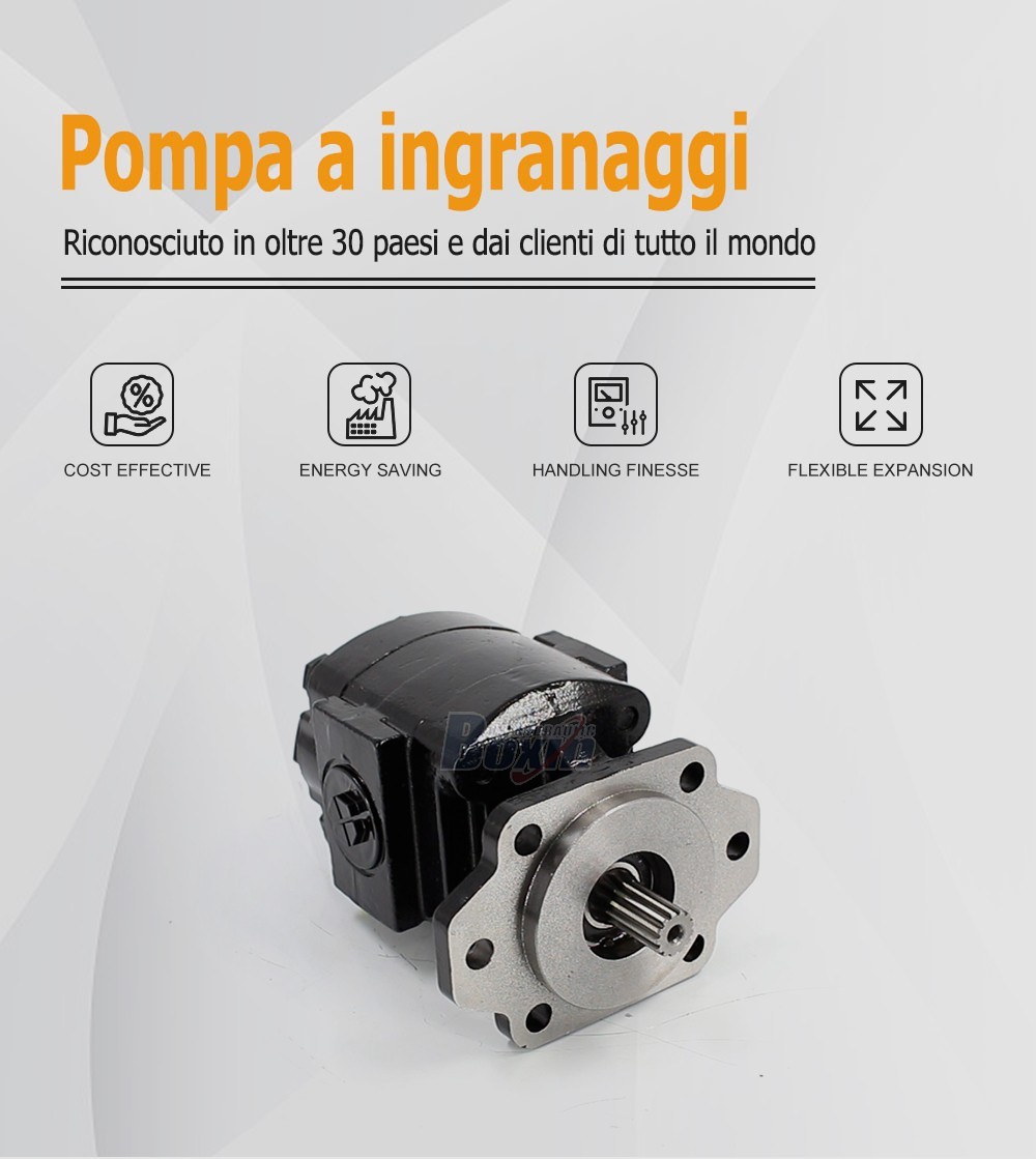 P21A646JEAL20-25 64.6 cc/rev Hydraulic Gear Pump for Industrial Machinery