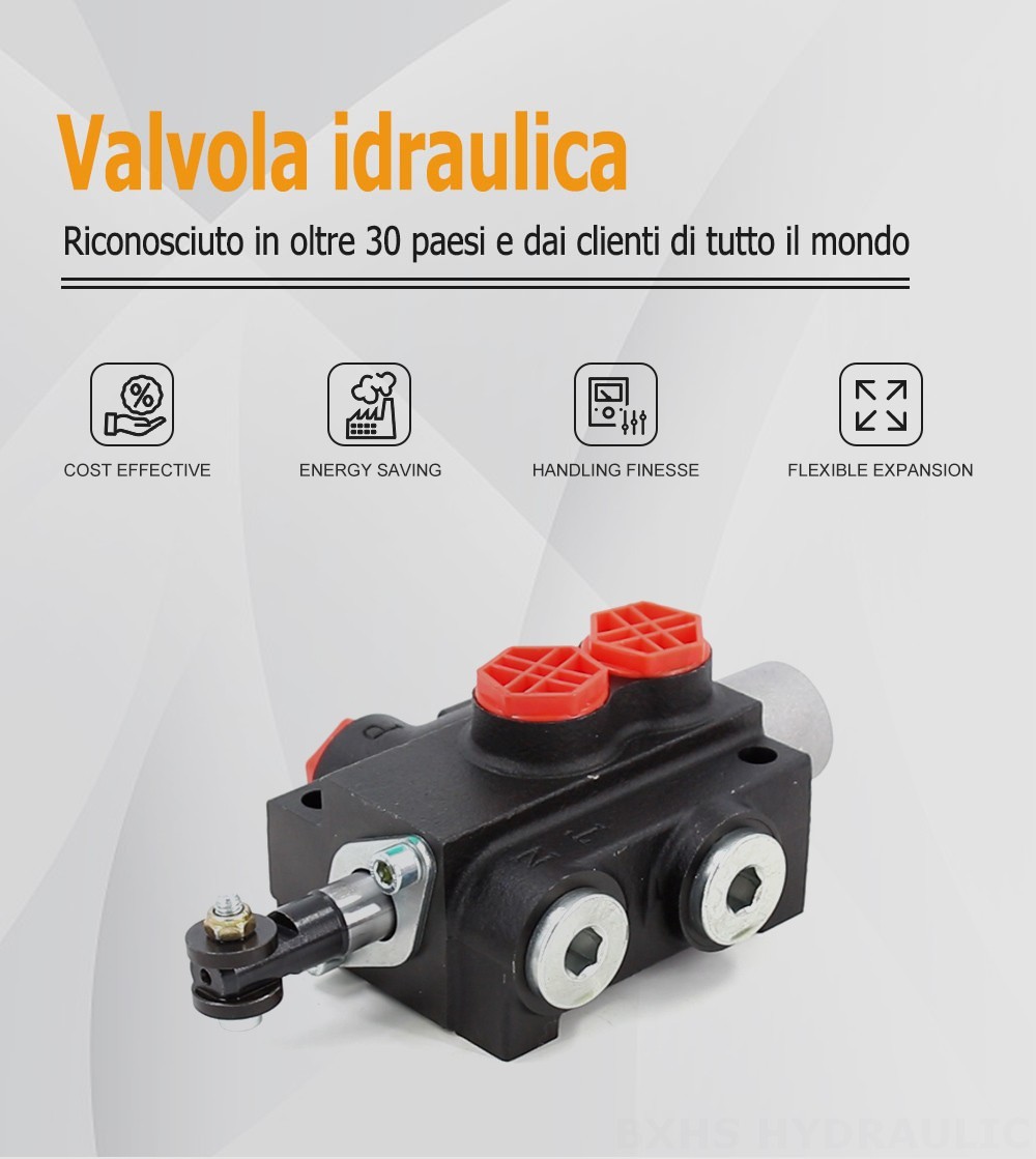 P40-201 Manuale 1 Spool Valvola direzionale monoblocco