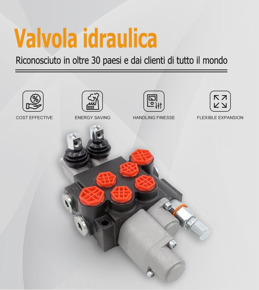 P40-AQF-G38-G12 Manuale 2 Spool Valvola direzionale monoblocco