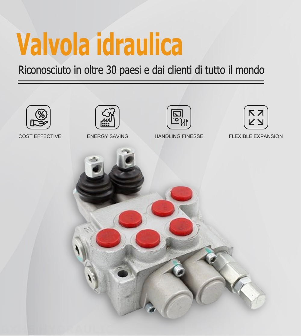 P40-DKL Manuale 2 Spool Valvola direzionale monoblocco