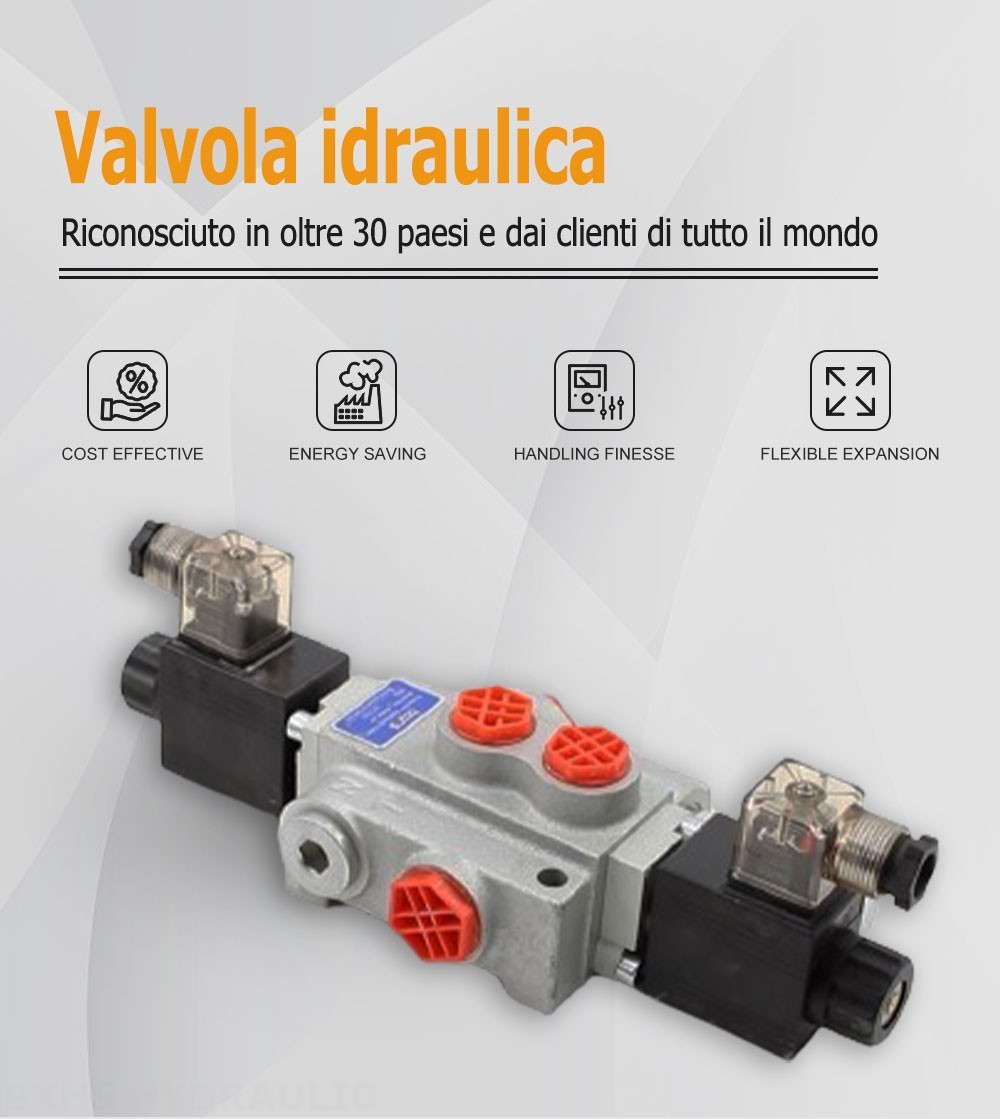 P40-DKL Solenoide 1 Spool Valvola direzionale monoblocco