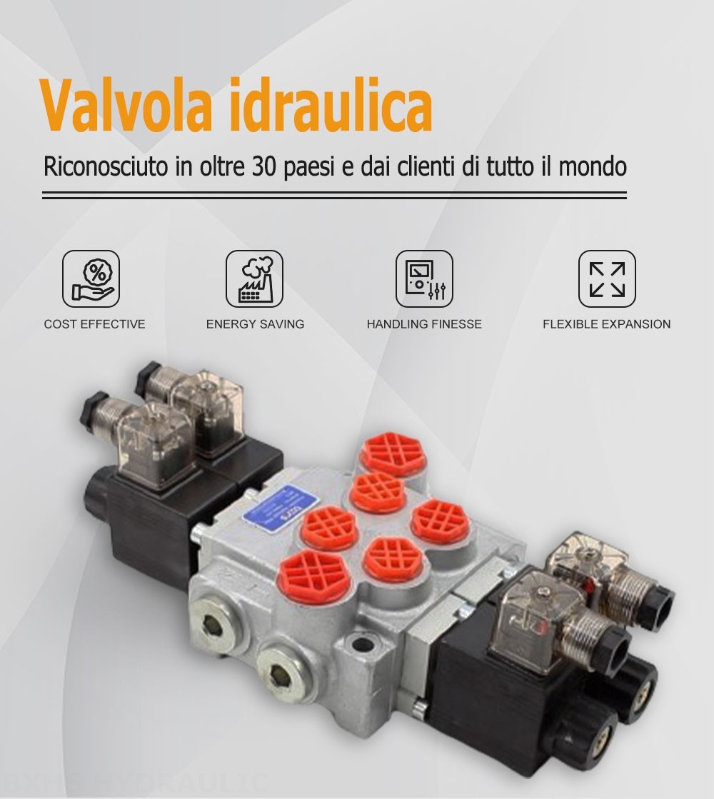 P40-DKL Solenoide 2 Spool Valvola direzionale monoblocco