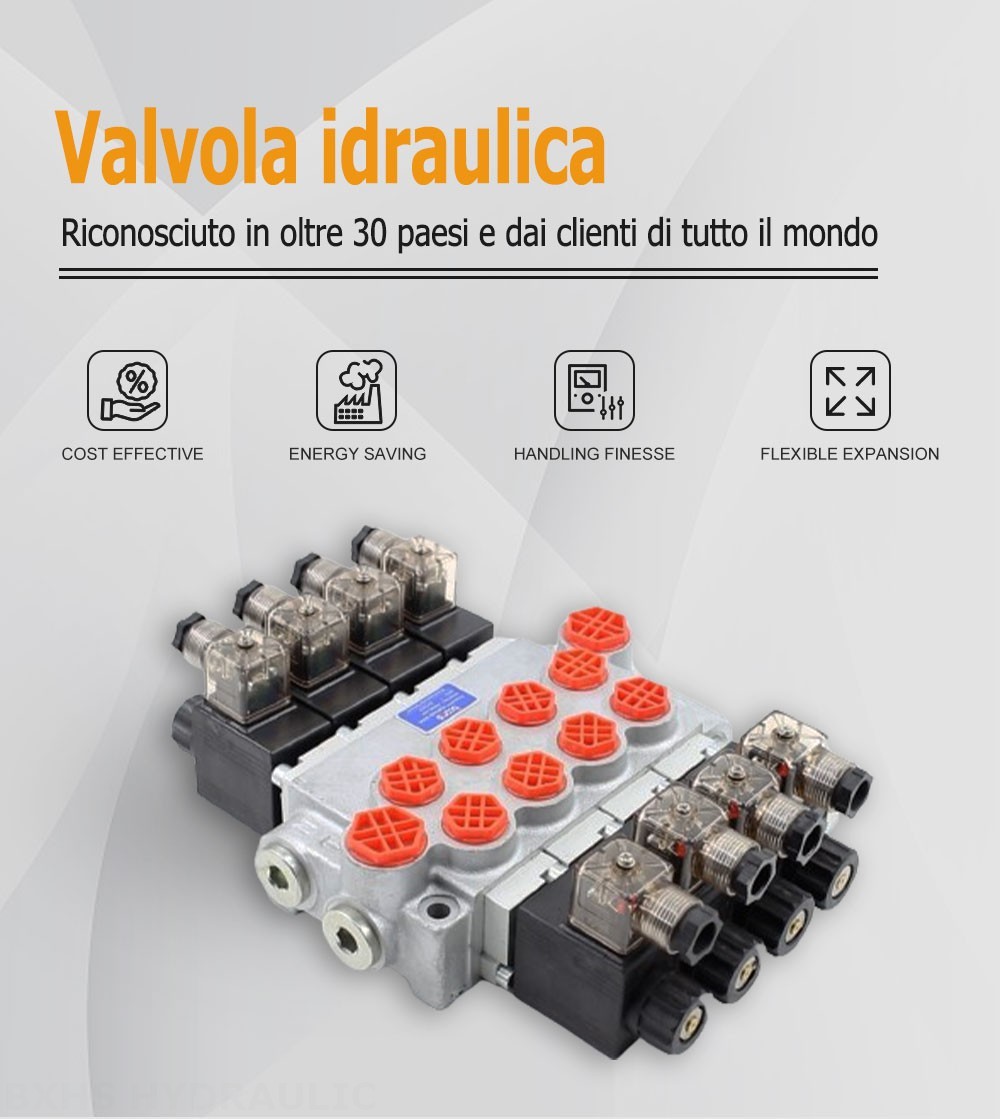 P40-DKL Solenoide 4 Spool Valvola direzionale monoblocco