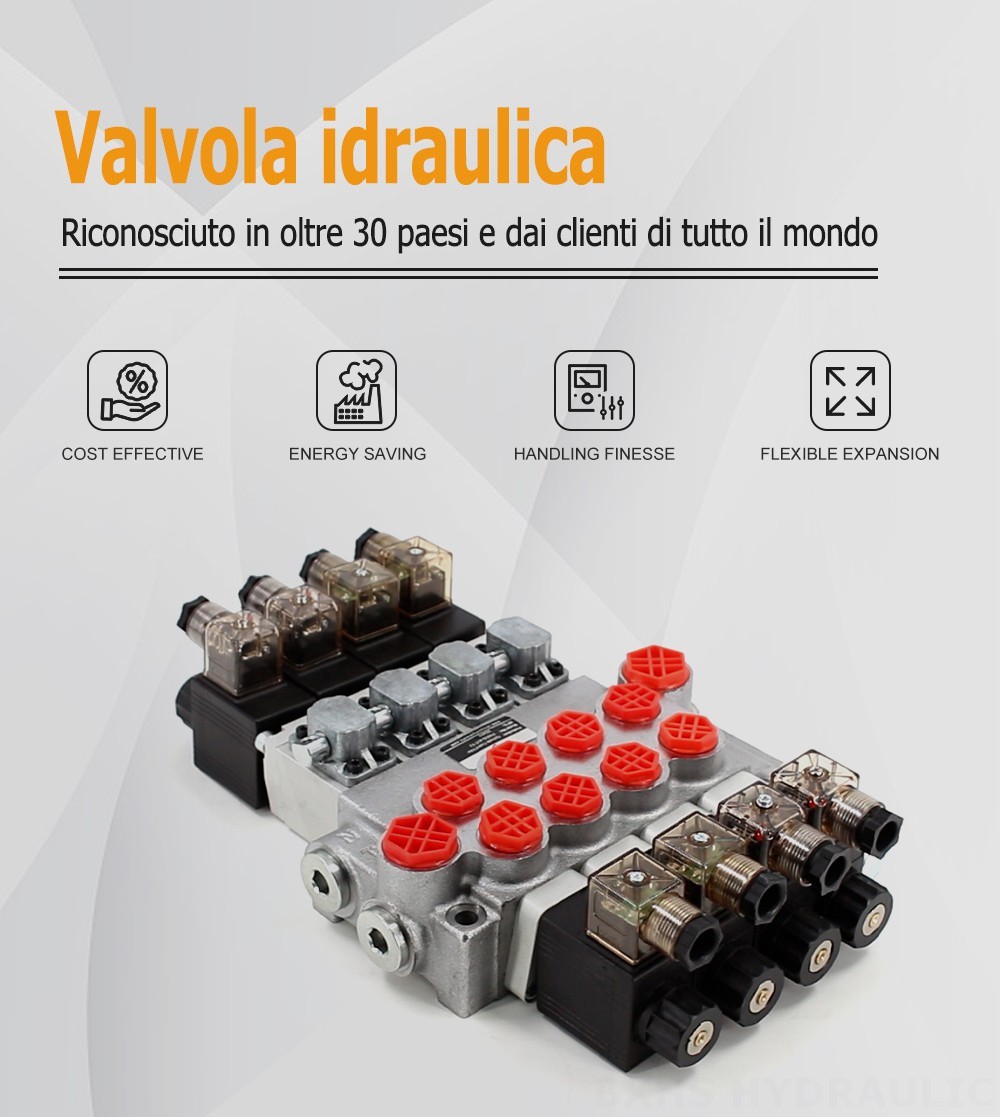 P40-DS Solenoide 4 Spool Valvola direzionale monoblocco