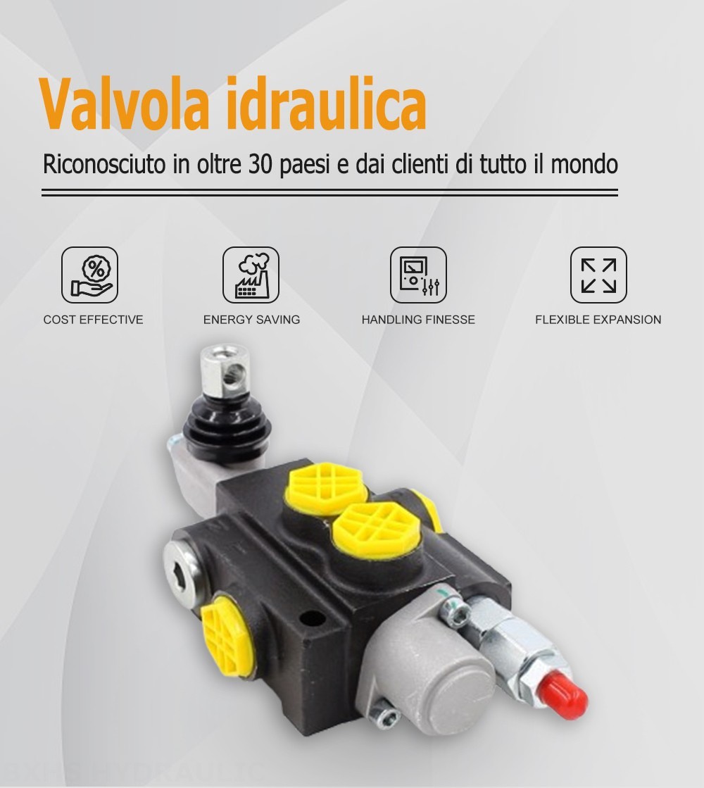 P40-G12-1OT Manuale 1 Spool Valvola direzionale monoblocco