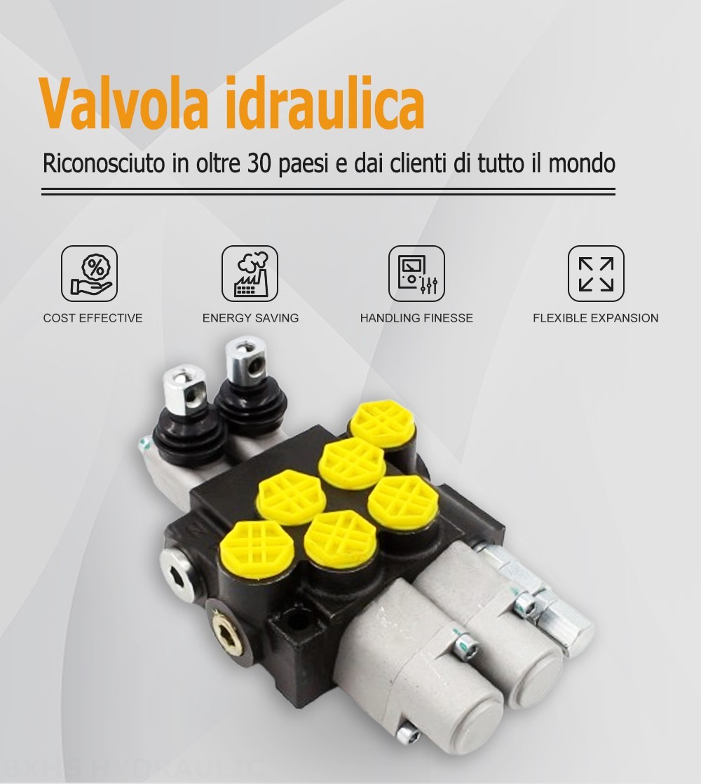 P40-G12-2OT Manuale 2 Spool Valvola direzionale monoblocco