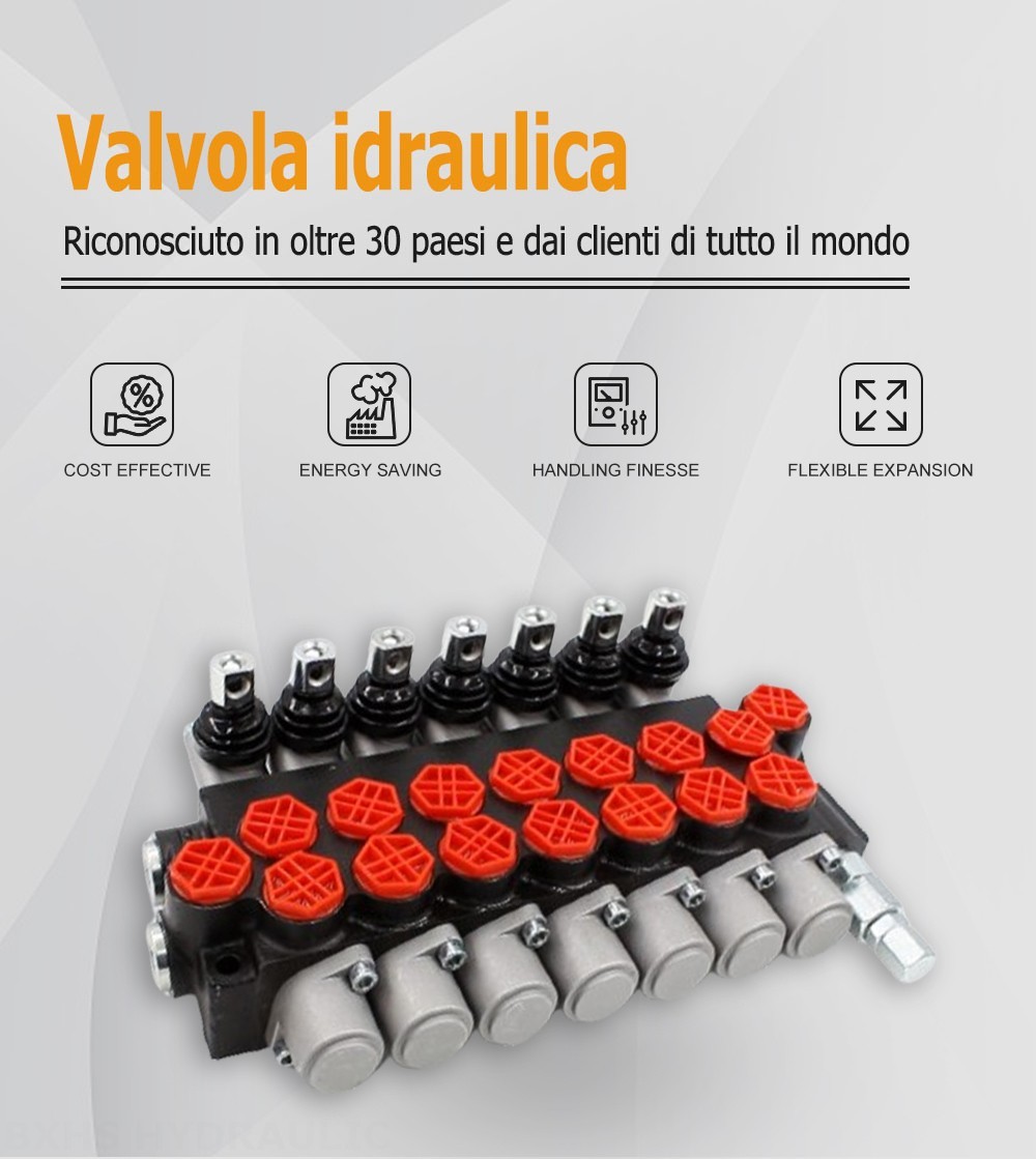 P40-G12-7OT Manuale 7 Spool Valvola direzionale monoblocco