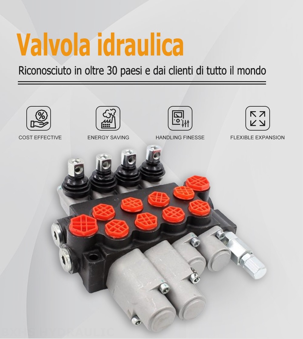 P40-G12-G38-2OT-2QTW Manuale 4 Spool Valvola direzionale monoblocco