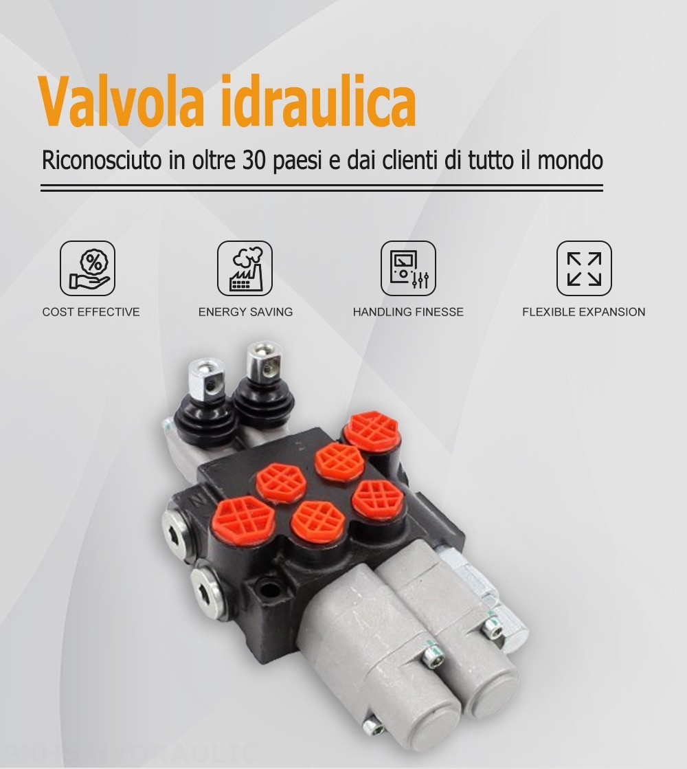 P40-G12-G38-2QTW Manuale 2 Spool Valvola direzionale monoblocco