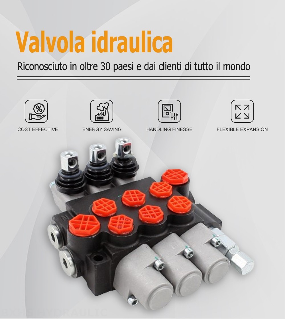 P40-G12-G38-3OT Manuale 3 Spool Valvola direzionale monoblocco