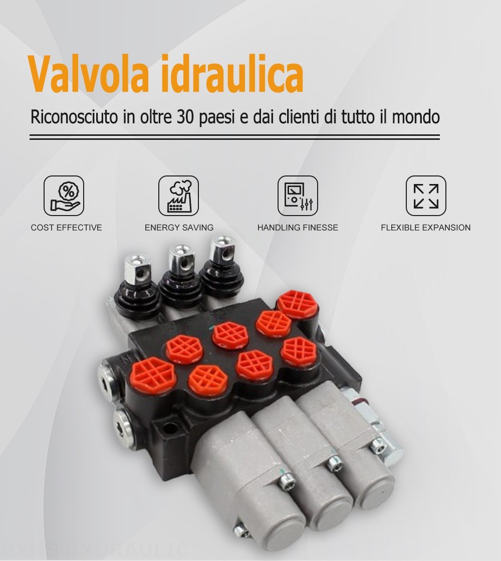 P40-G12-G38-3QTW Manuale 3 Spool Valvola direzionale monoblocco