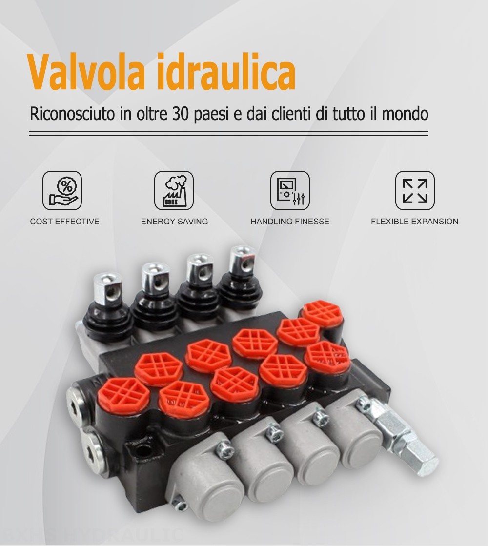 P40-G12-G38-4OT Manuale 4 Spool Valvola direzionale monoblocco