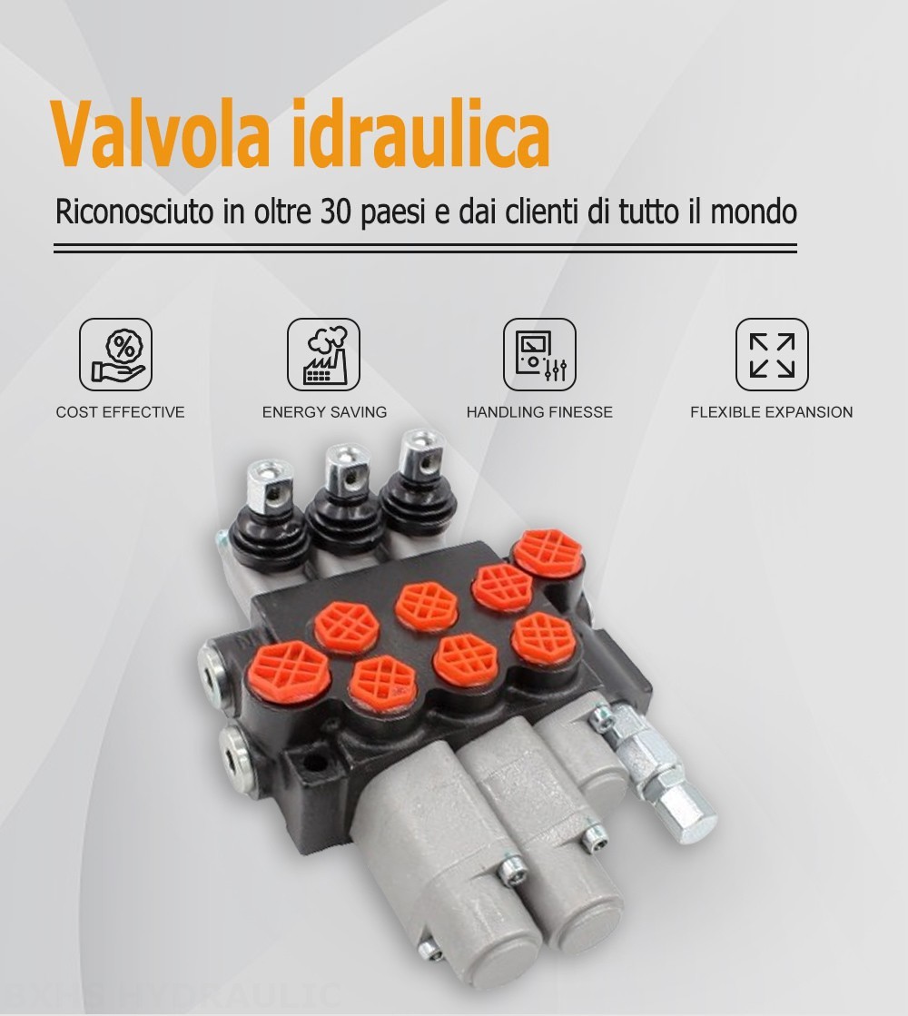 P40-G12-G38-OT-2QTW Manuale 3 Spool Valvola direzionale monoblocco