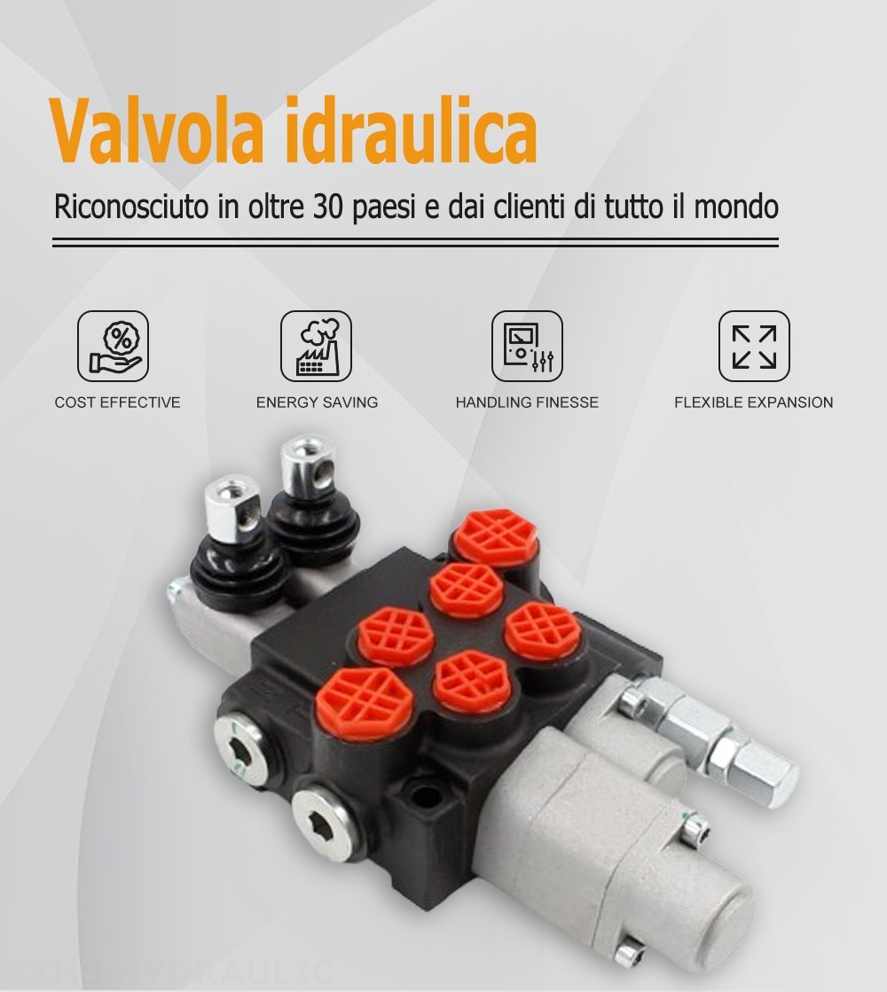 P40-G12-G38-OT-QTW1 Manuale 2 Spool Valvola direzionale monoblocco