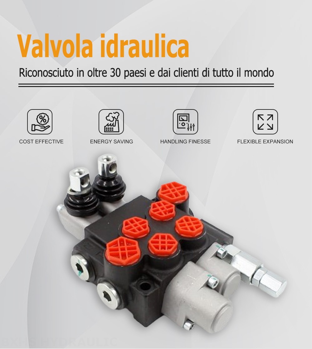 P40-G12-G38-OT-QTW Manuale 2 Spool Valvola direzionale monoblocco