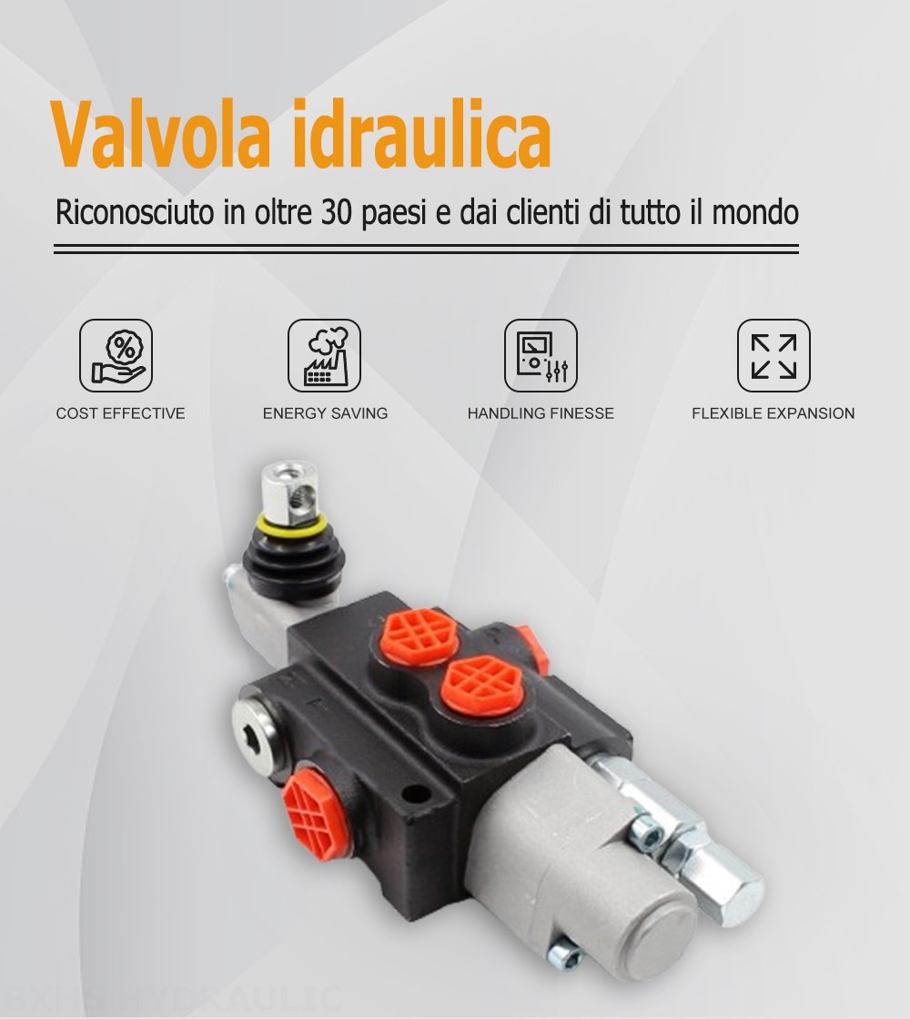 P40-G12-G38-OTW Manuale 1 Spool Valvola direzionale monoblocco