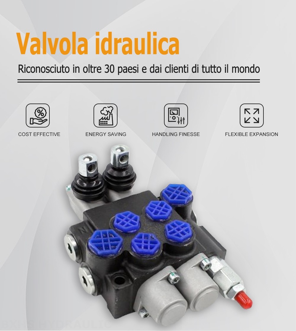 P40-G12-G38-OT Manuale 2 Spool Valvola direzionale monoblocco