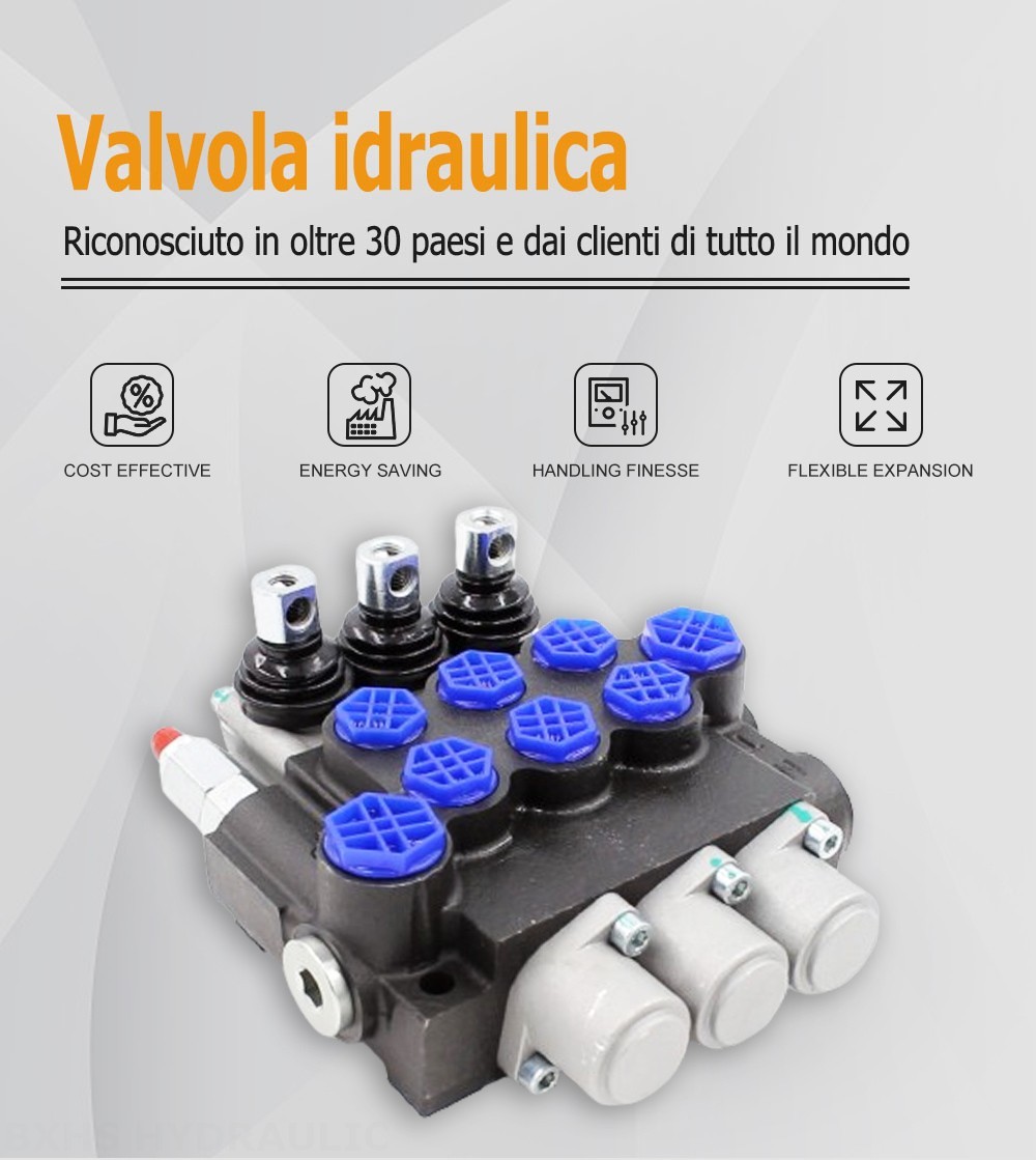 P40-G12-G38-OT Manuale 3 Spool Valvola direzionale monoblocco